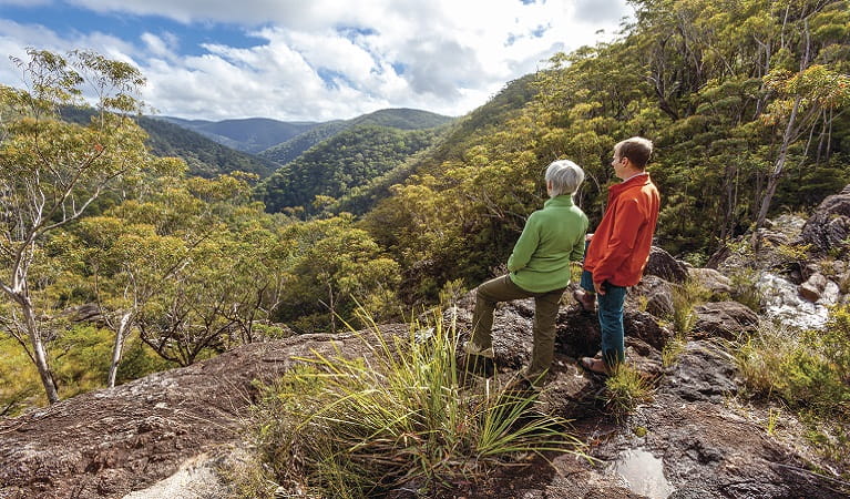 Walkers looking out over the dramatic rainforest, Gibraltar-Washpool World Heritage walk. Photo: Rob Cleary