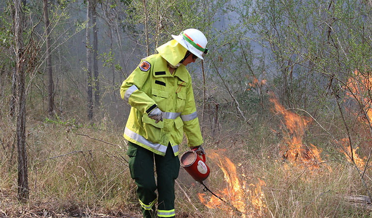 A trainee field officer conducting the Olive hazard reduction burn in Scheyville National Park. Photo: David Croft/DPIE