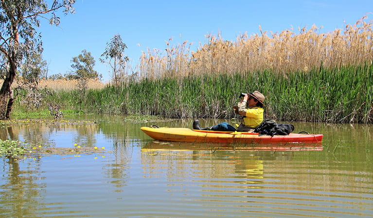 An NPWS ranger in a kayak, Macquarie Marshes Nature Reserve. Photo: Nicola Brookhouse/DPIE