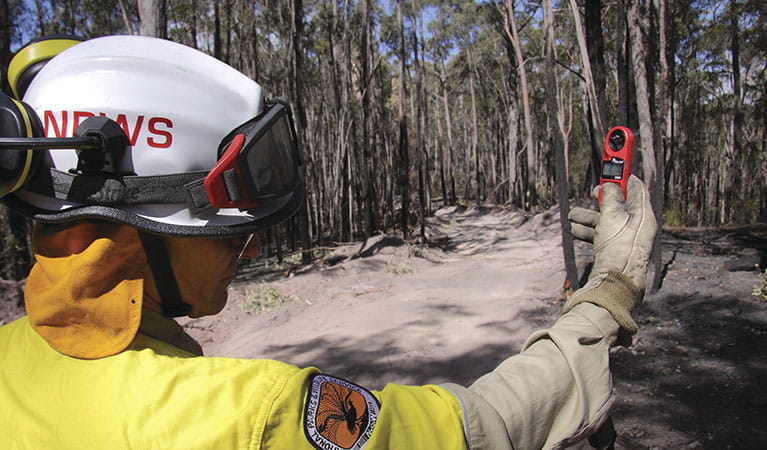An NPWS senior ranger patrolling a spotover fire spanning Bournda Nature Reserve and private land near Merimbula. Photo: Lucy Morrell/DPIE