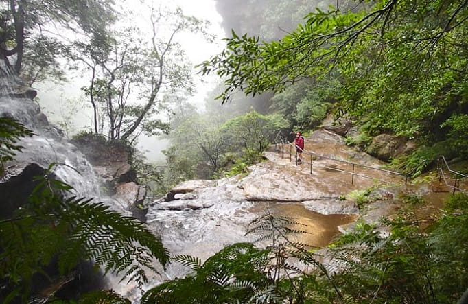 National Pass walk, Blue Mountains National Park. Photo: Aine Gliddon Copyright: NSW Government
