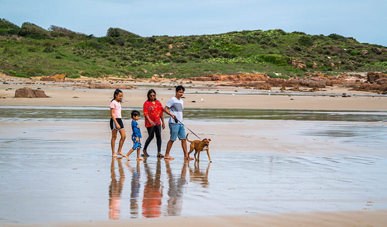 A family walks a dog on a lead on a beach. Photo: John Spencer &copy; DPIE