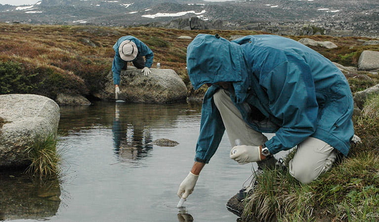 Taking freshwater samples from the Snowy River, Kosciuszko National Park. Photo: Tim Pritchard