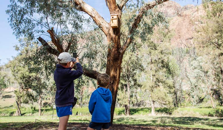 Nest boxes provide habitat for fire-affected animals in Warrumbungle National Park. Photo: Simone Cottrell/OEH.