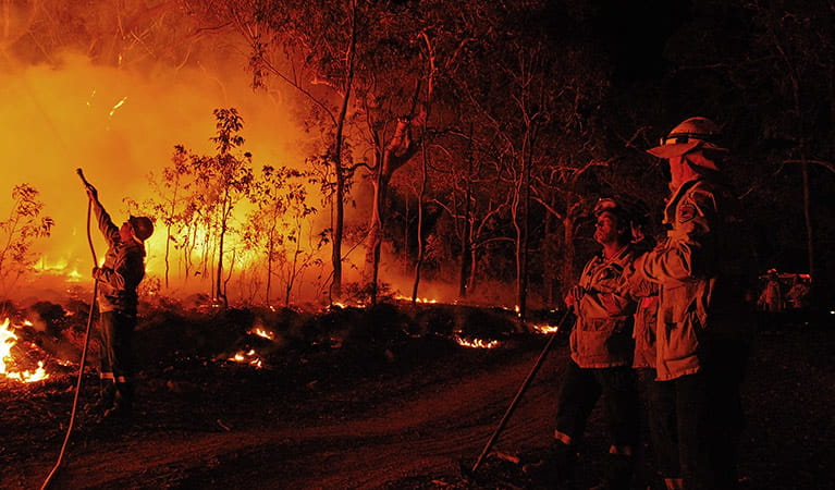 Firefighters at work, Wollemi National Park. Photo: Michael Jarman