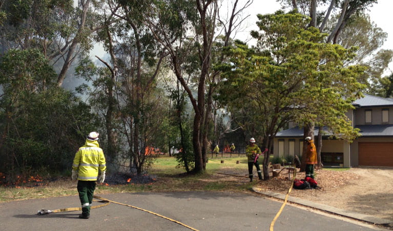 Protecting property from a bushfire, Lane Cove National Park. Photo: Michele Cooper