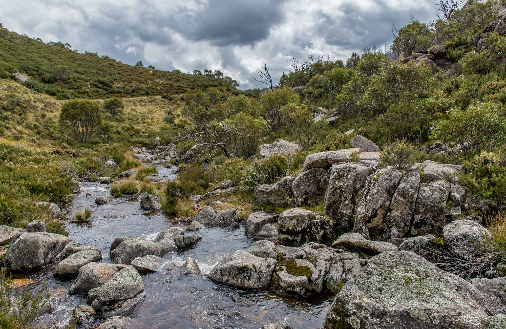 School excursion Kosciuszko gameshow NSW National Parks