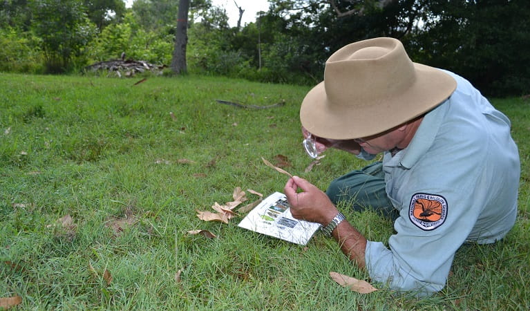 A ranger investigating the natural environment on a WildTracker school excursion. Photo: Julie Brown/OEH