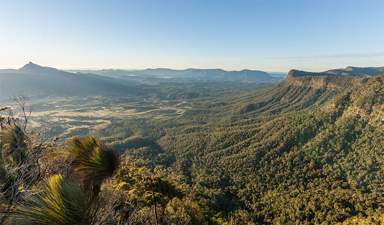 View of Mount Warning, Border Ranges National Park. Photo: John Spencer