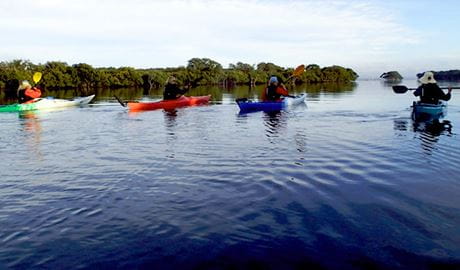 View of 4 paddlers in kayaks crossing a calm lake and bushland along the shores. Photo credit: Glenn MacFadyen &copy; School of Yak