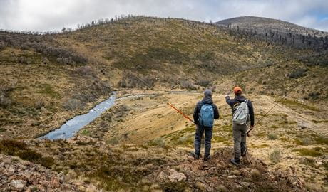 Walkers surveying a stream in the high country of Kosciuszko National Park on a Tom’s Outdoors tour. Photo: Dean Johnson &copy; Tom’s Outdoors