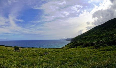 Ocean view along the Coast track in Royal National Park, showing grassy vegetation and coastal shrubland under a partly cloudy sky. Photo credit: Brian Lichi &copy; Youthworks Christian Outdoor Education 