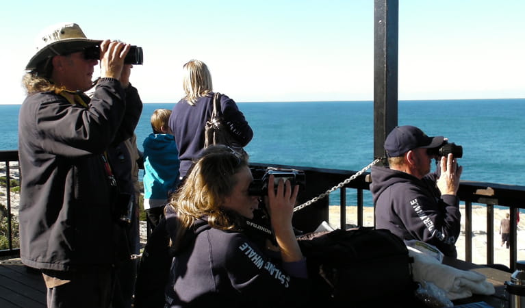 People undercover using binoculars to spot whales, Kamay Botany Bay National Park. Photo: Susan Aston Metham/OEH