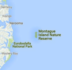 Montague Island Nature Reserve