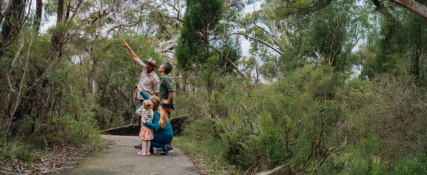 A family with a guide at Govetts Leap, Blue Mountains National Park. Credit: Remy Brand © DCCEEW