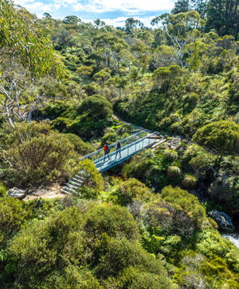 Aerial image of Buttenshaw Bridge, Blue Mountains. Credit: Remy Brand &copy; DCCEEW