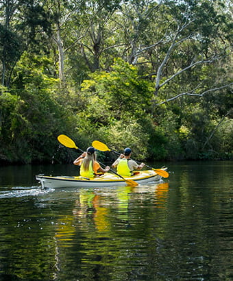 2 people in a double kayak paddling on Lane Cove River in Lane Cove National Park. Photo: Daniel Parsons/DPIE