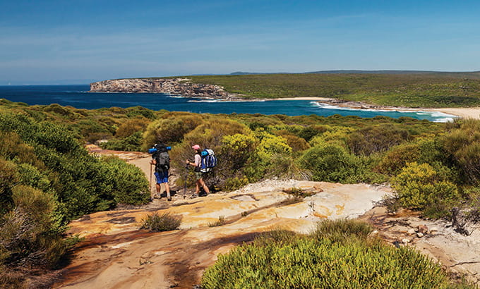 Two hikers walk the Coast track, near Eagle Rock, in Royal National Park. Photo: David Finnegan/DPIE