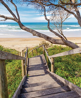 Timber steps to beach, Illaroo North campground, Yuraygir National Park. Photo: Rob Cleary/OEH