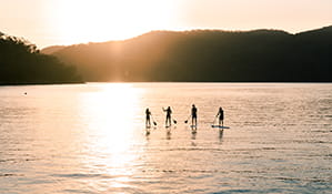 Group of friends stand-up paddle boarding on the water at Ku-ring-gai Chase National Park. Photo: Tim Clark/DPIE
