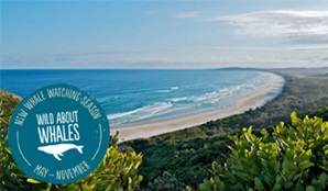 Cosy Corner, Cape Byron State Conservation Area. Photo: John Spencer/OEH