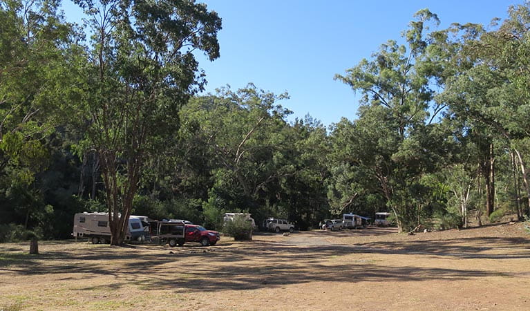 Caravans, cars and camper trailers at Abercrombie Caves campground. Photo: Stephen Babka/DPIE