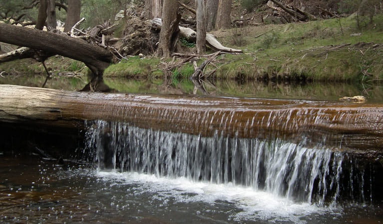 Silent Creek campground, Abercrombie River National Park. Photo: NSW Government