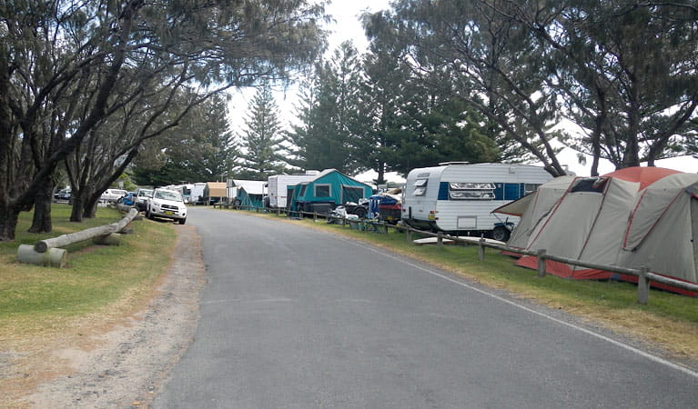 Trail Bay Gaol campground, Arakoon National Park. Photo: Barbara Webster/NSW Government