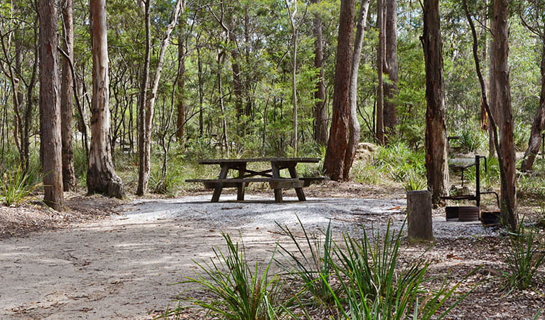 A picnic table and wood barbecue at Bald Rock campground in Bald Rock National Park. Photo: Dirk Richards &copy; Dirk Richards
