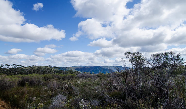 View from Griffths trail, Barren Grounds Nature Reserve. Photo: John Spencer/NSW Government