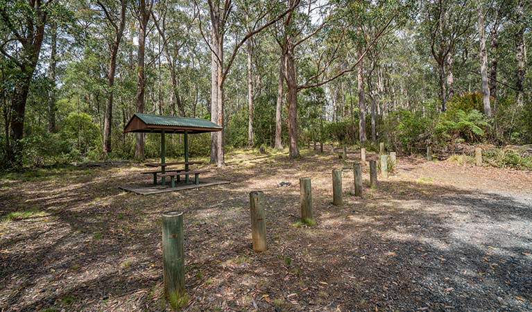 A covered picnic table at Cobark Park picnic area in Barrington Tops National Park. Photo: John Spencer &copy; DPIE