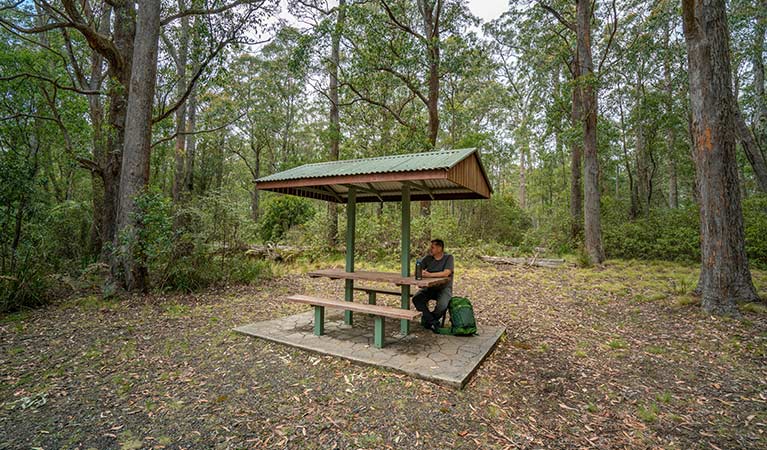 A man resting at a covered picnic table in Cobark Park picnic area, Barrington Tops National Park. Photo: John Spencer &copy; DPIE