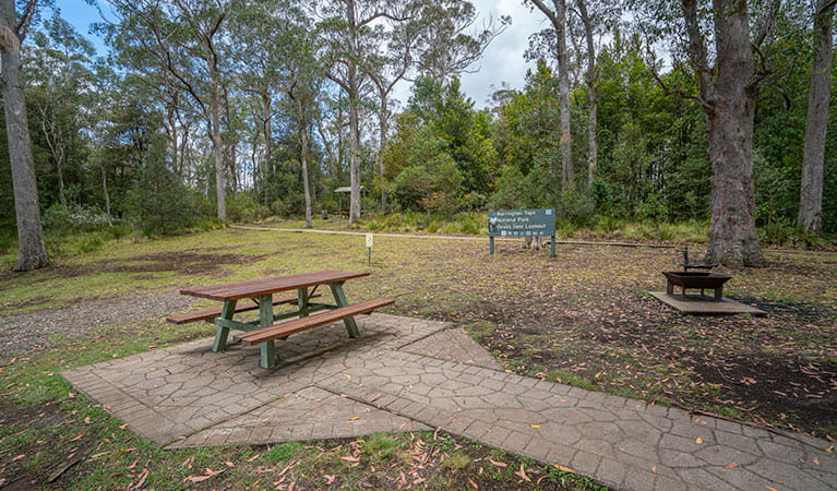 A picnic table, wood barbecue and signage at Devils Hole lookout, walk and picnic area in Barrington Tops National Park. Photo: John Spencer &copy; OEH