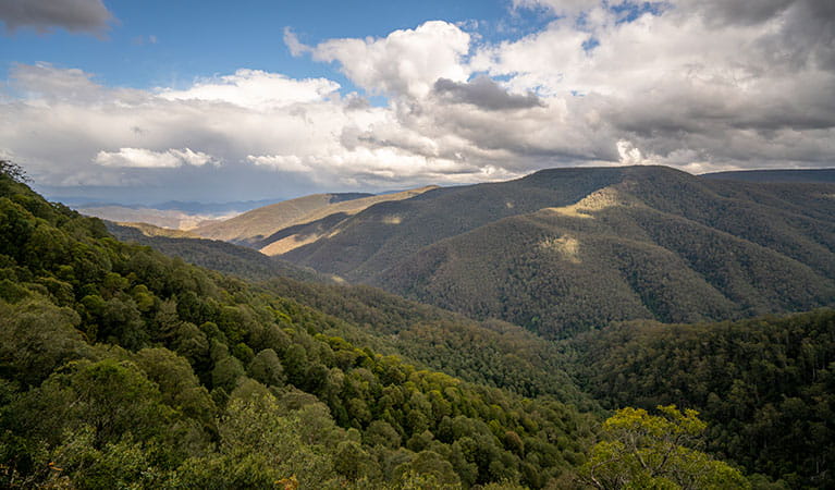 The view from Devils Hole lookout platform in Barrington Tops National Park. Photo: John Spencer &copy; OEH