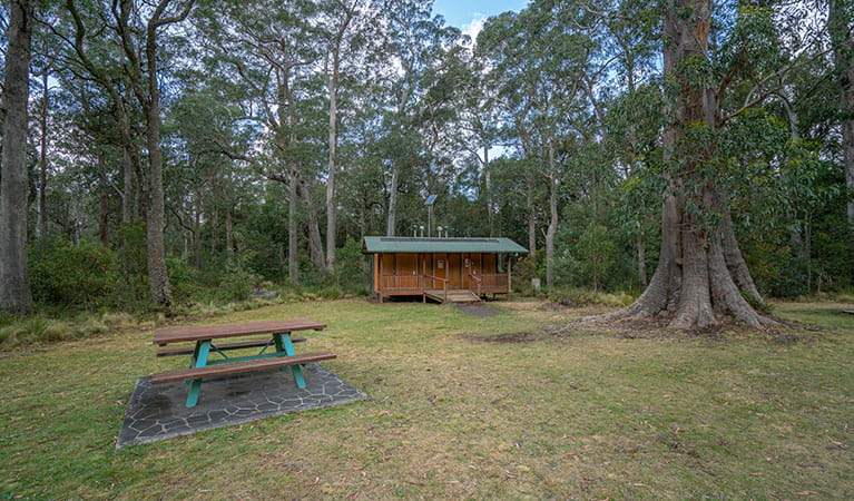 A picnic table and toilet facilities at Honeysuckle picnic area in Barrington Tops National Park. Photo: John Spencer/DPIE