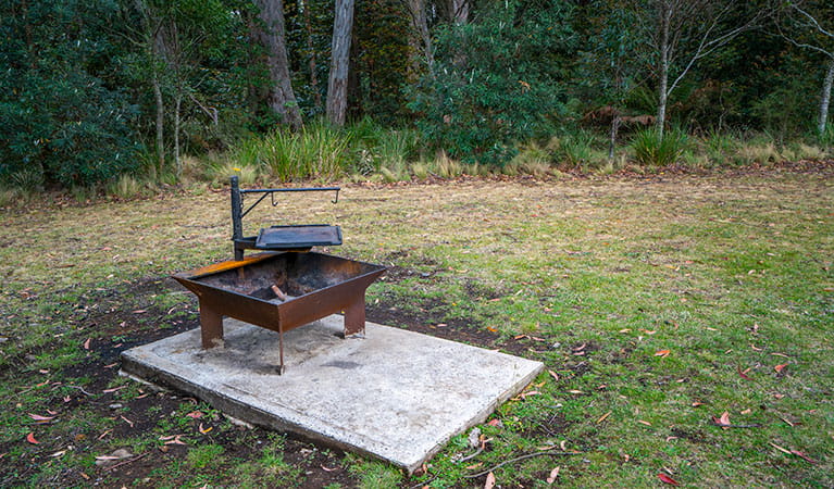 A wood barbecue in Honeysuckle picnic area, Barrington Tops National Park. Photo: John Spencer/DPIE