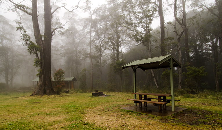 Picnic tables surrounded by trees under the cover of mist in Honeysuckle picnic area, Barrington Tops National Park. Photo: John Spencer/NSW Government