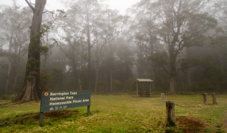 Signage and picnic tables surrounded by mist in Honeysuckle picnic area, Barrington Tops National Park. Photo: John Spencer/NSW Government