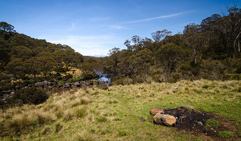 Junction Pools campground, Barrington Tops National Park. Photo: John Spencer/NSW Government
