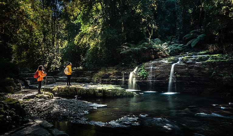 A man and woman stand by a creek waterfall along Rocky Crossing walking track in Barrington Tops. Photo: Robert Mulally/OEH