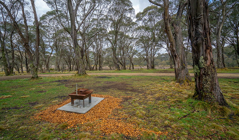 A wood barbecue in Polblue campground and picnic area, Barrington Tops National Park. Photo: John Spencer/DPIE