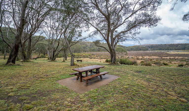 A picnic table in Polblue campground and picnic area, Barrington Tops National Park. Photo: John Spencer/DPIE