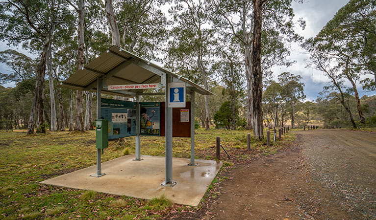 Polblue campground and picnic area information and pay station in Barrington Tops National Park. Photo: John Spencer/DPIE