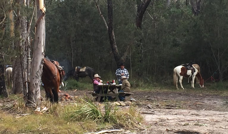 Riders taking a break, Basket Swamp National Park. Photo: V Sherry/ATHRA