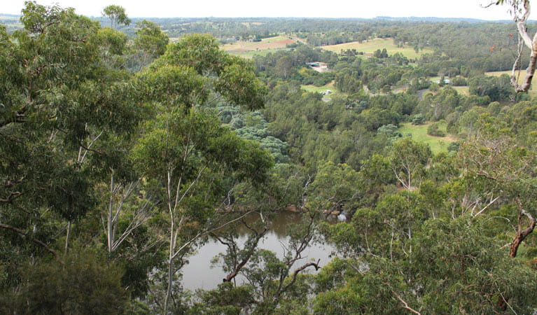View from Caleys lookout track. Photo: John Yurasek &copy; OEH