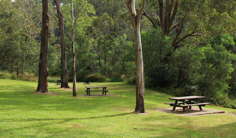 Durawi picnic area | NSW National Parks