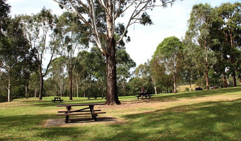 Trees, grass and tables in Durawi picnic area. Photo: John Yurasek