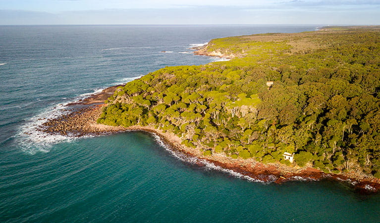 Aerial view of the stretch of coastline from Bittangabee Bay to Green Cape Lighthouse. Photo: John Spencer/OEH