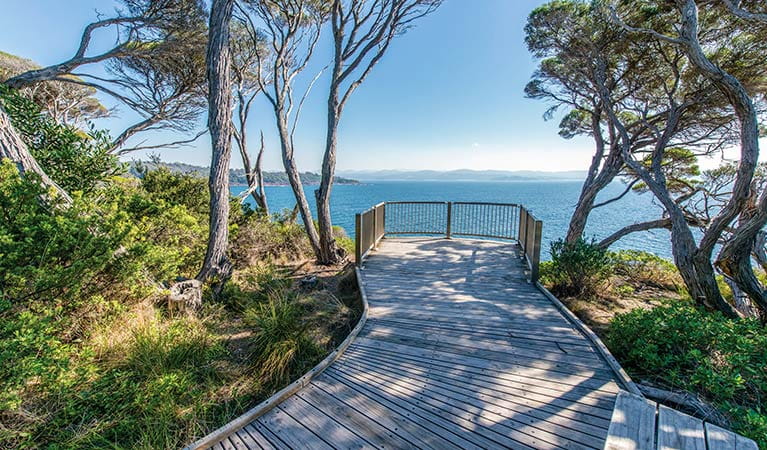 The wheelchair-accessible lookout near Boyds Tower gives you breathtaking views of Twofold Bay. Photo: John Spencer &copy; OEH