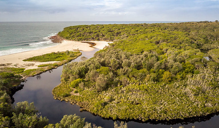Aerial view of the creek, bushland and coastline at Saltwater Creek campground in Beowa National Park. Photo: John Spencer &copy; OEH